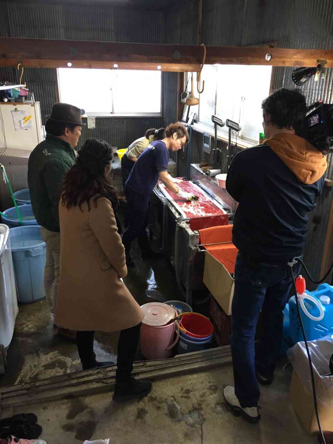 メディア掲載履歴 だるまやのご紹介 だるまや京染本店 メディア掲載履歴 だるまやのご紹介 だるまや京染本店